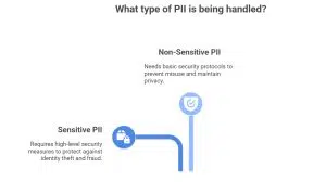 Types Of Pii